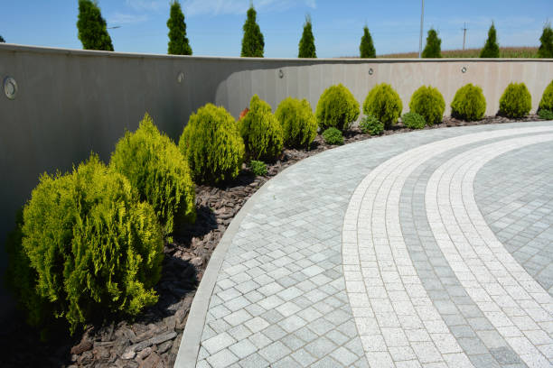 Best Driveway Pavers Near Me  in Duluth, MN
